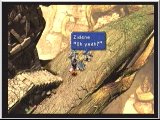 FF9