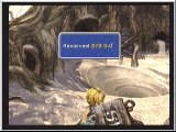 FF9