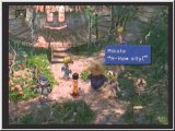 FF9