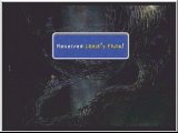 FF9