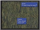 FF9
