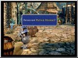 FF9