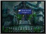 FF9