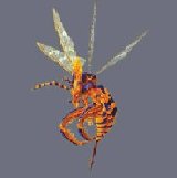 Final Fantasy X